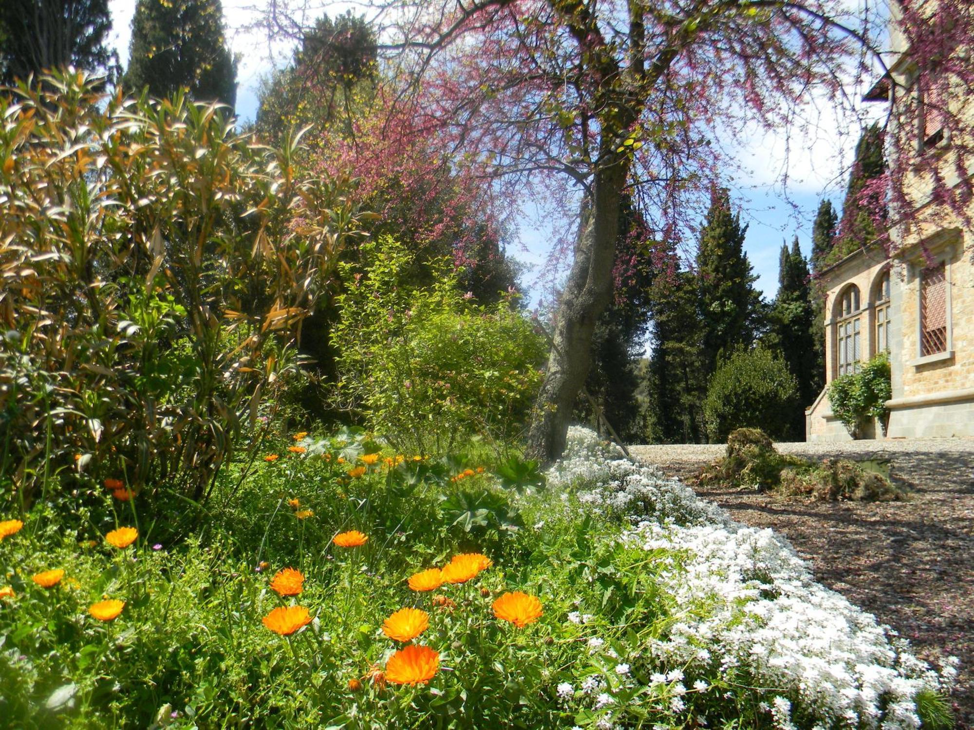 مونتفردي ماريتيمو Villa Le Querciolaie المظهر الخارجي الصورة
